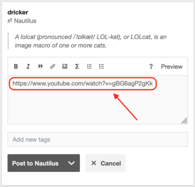 Paste URL for video directly into annotation editor